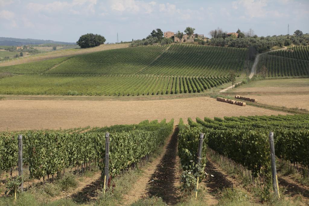 Agriturismo Spazzavento Vinci Exteriér fotografie